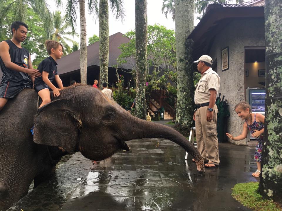 Elephant Safari Park –&nbsp;Ubud