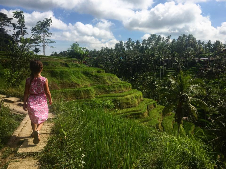 Tegallalang Rice Terraces –&nbsp;Ubud
