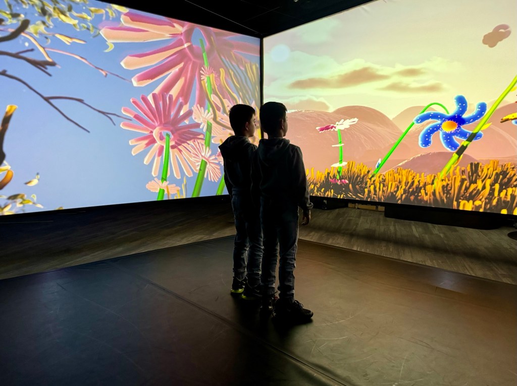 Now or Never Festival – – kajoo yannaga