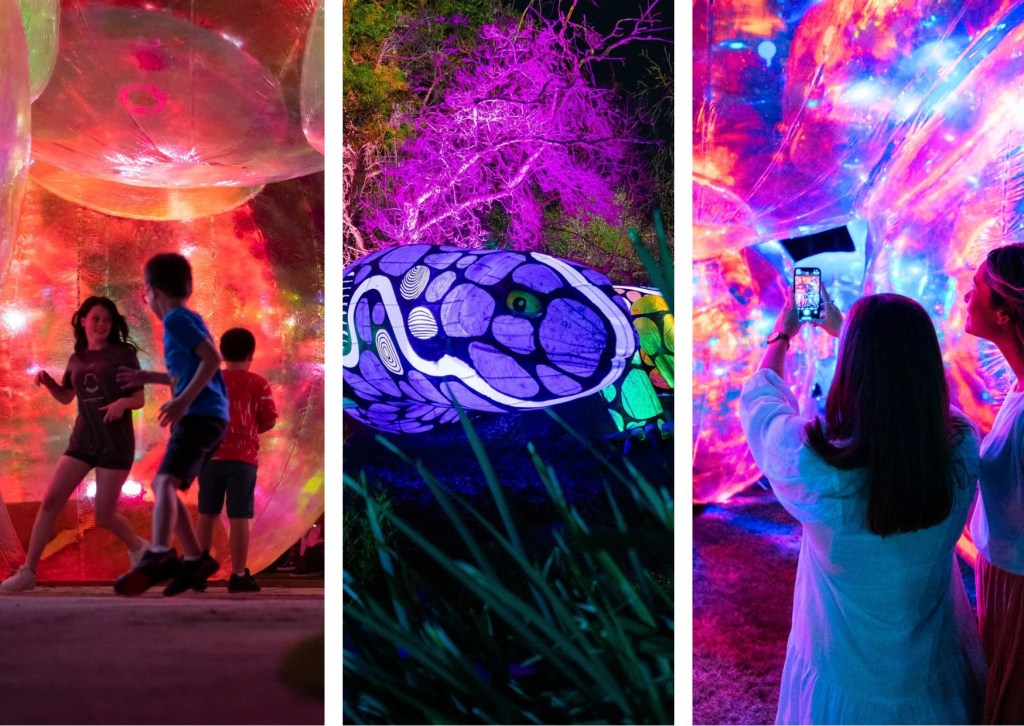 Free Lit Festival&nbsp;Returns!