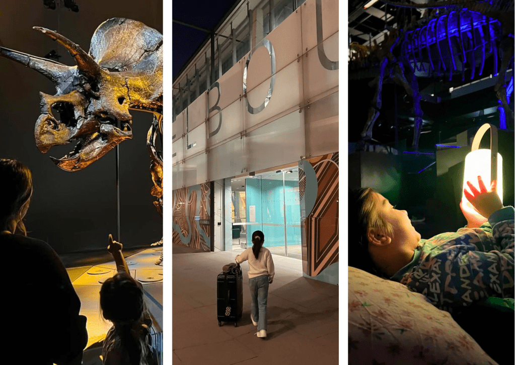 Sleepover at Melbourne&nbsp;Museum