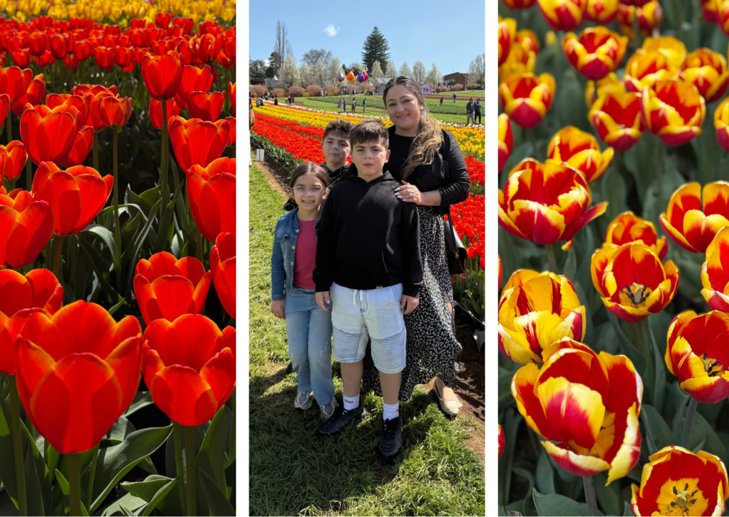 Top 5 Reasons to Visit the Tesselaar Tulip Festival&nbsp;2025