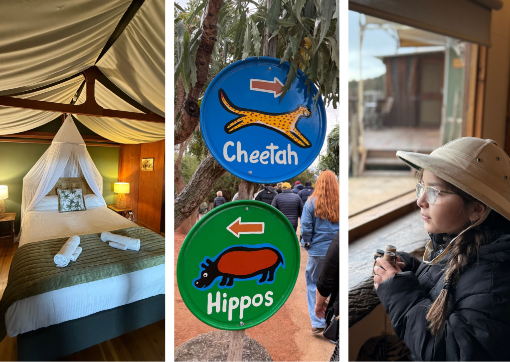 Slumber Safari at Werribee Open Range&nbsp;Zoo