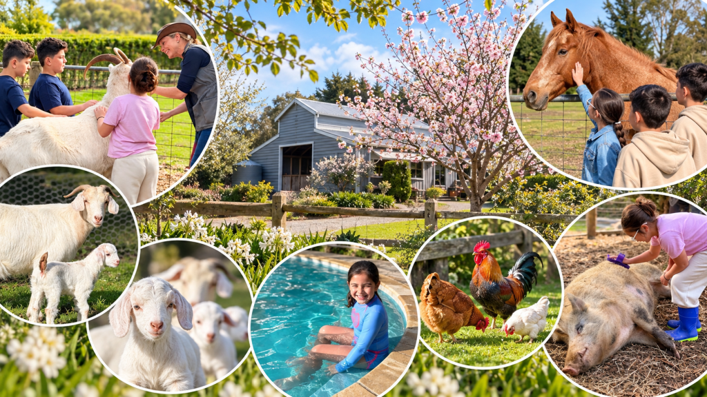 Where the animals come first: a family farm stay at Wilindi&nbsp;Estate